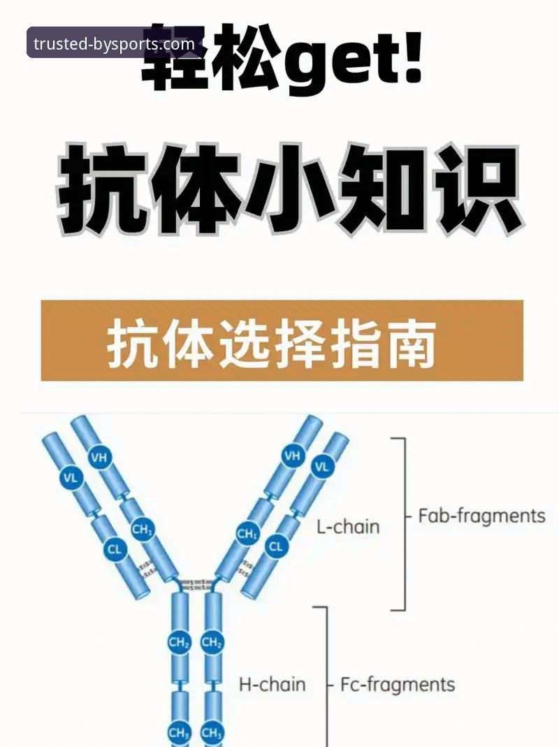 必一体育app下载 掌握必一体育平台使用的实用技巧,从下载到登录的全流程指南